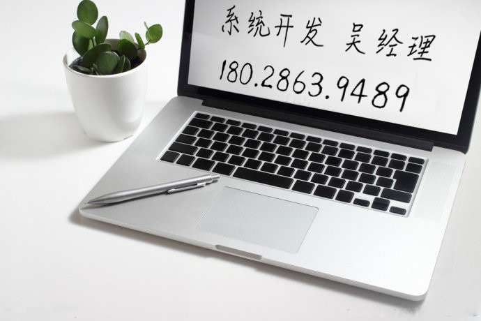 聚多佳品系統(tǒng)開(kāi)發(fā)（開(kāi)發(fā)系統(tǒng)）