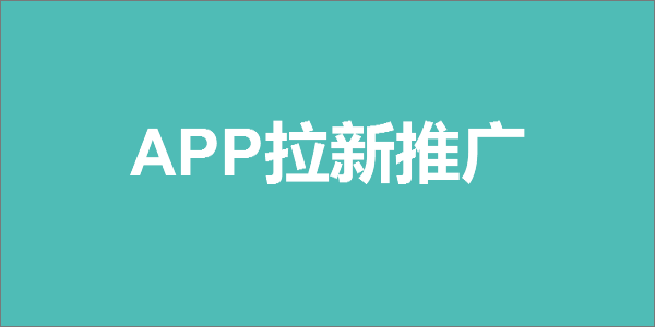 新蜂客平臺(tái)團(tuán)隊(duì)代理模式解析