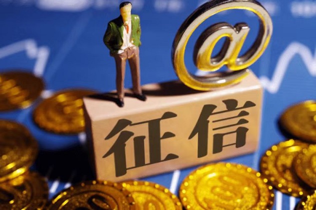 極客查-支持個(gè)人大數(shù)據(jù)征信查詢！