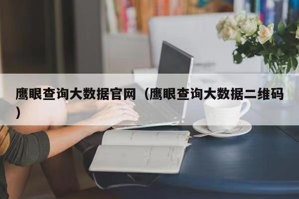 鷹眼查詢?nèi)绾尾樵兇髷?shù)據(jù)？使用說(shuō)明書(shū)