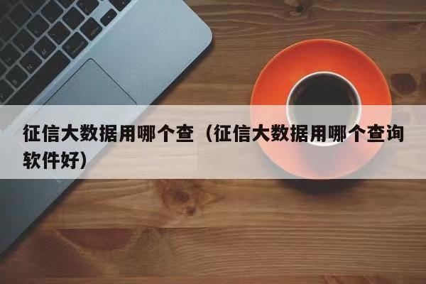 飛雪快查-個人大數(shù)據(jù)風險查詢！