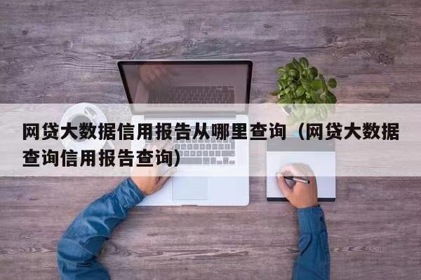 鷹心快查-大數(shù)據(jù)信用報告查詢！