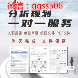 個人征信pdf無痕修改器美化入職