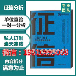 原始個(gè)人征信報(bào)告PDF無痕修改修改步驟